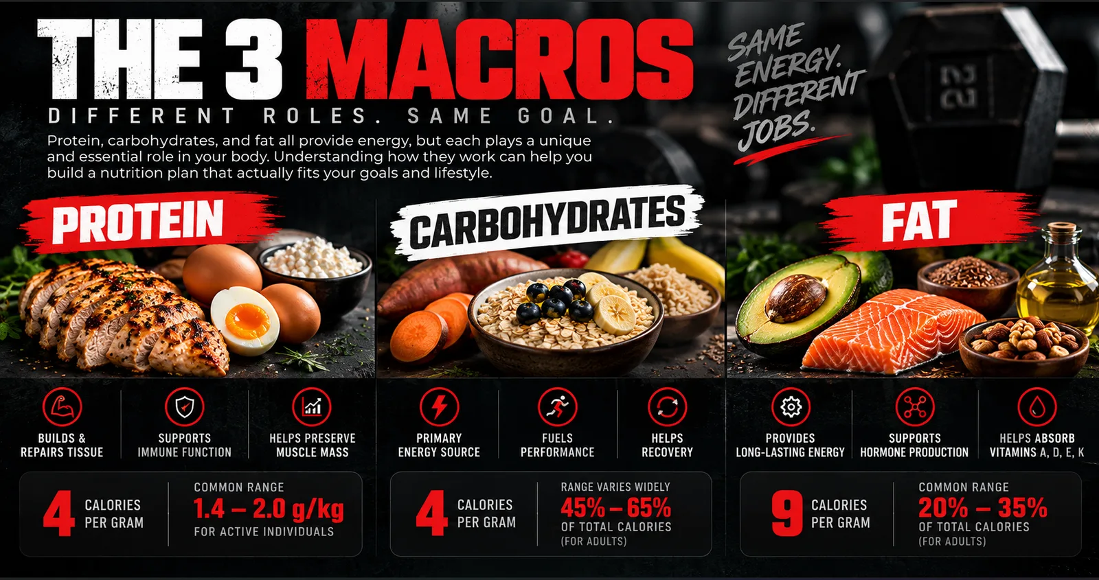 What are macros, anyway?